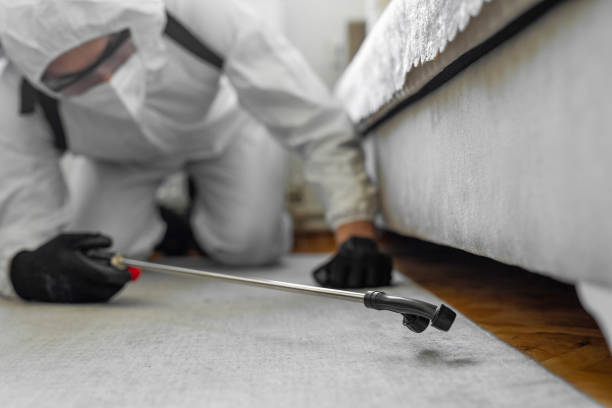 Professional Pest Control technician working in Perry County County, AL